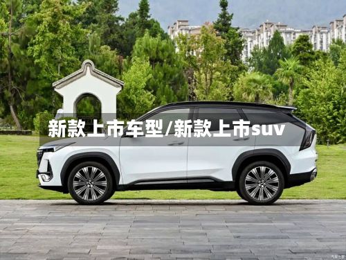 新款上市车型/新款上市suv-第3张图片