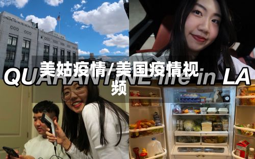 美姑疫情/美国疫情视频-第2张图片