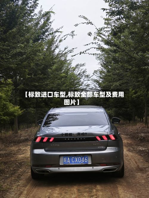【标致进口车型,标致全部车型及费用图片】