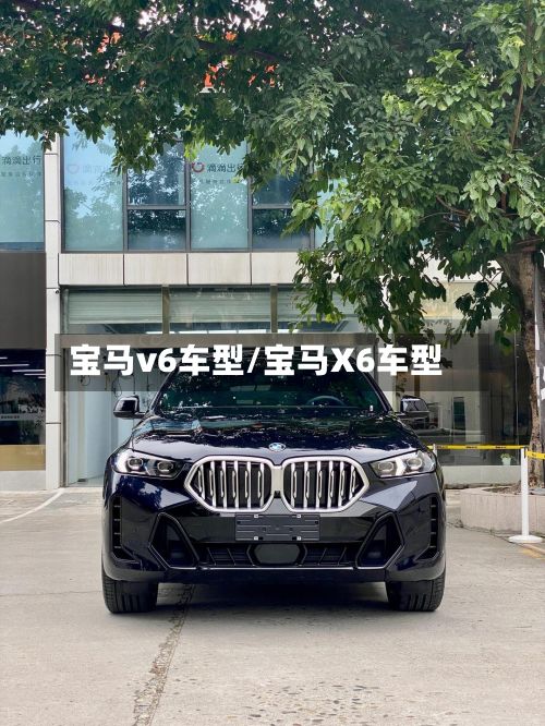 宝马v6车型/宝马X6车型