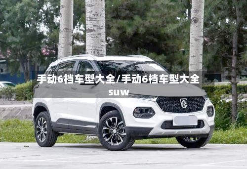 手动6档车型大全/手动6档车型大全suw-第2张图片