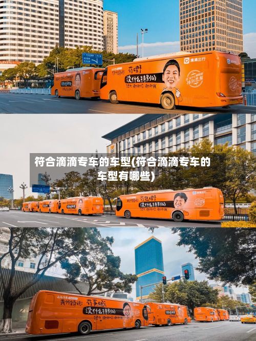 符合滴滴专车的车型(符合滴滴专车的车型有哪些)
