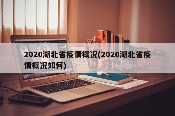 2020湖北省疫情概况(2020湖北省疫情概况如何)