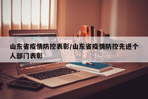 山东省疫情防控表彰/山东省疫情防控先进个人部门表彰