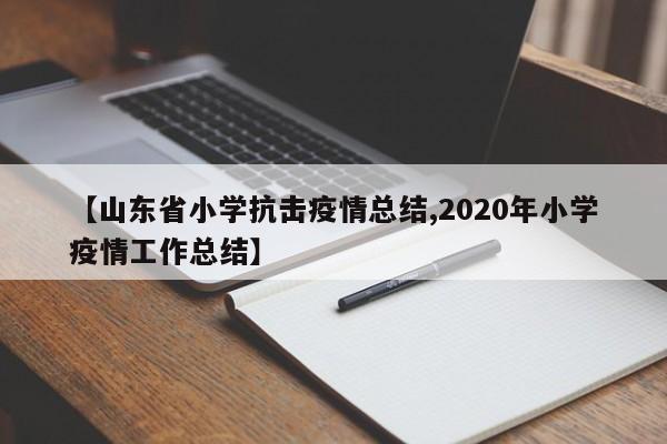 【山东省小学抗击疫情总结,2020年小学疫情工作总结】