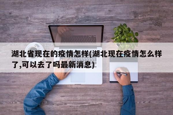 湖北省现在的疫情怎样(湖北现在疫情怎么样了,可以去了吗最新消息)