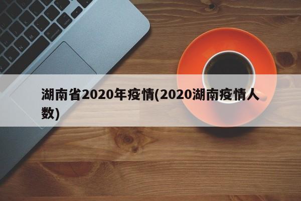 湖南省2020年疫情(2020湖南疫情人数)