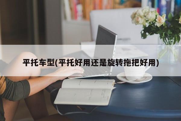 平托车型(平托好用还是旋转拖把好用)