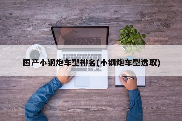 国产小钢炮车型排名(小钢炮车型选取)