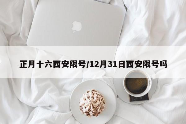 正月十六西安限号/12月31日西安限号吗