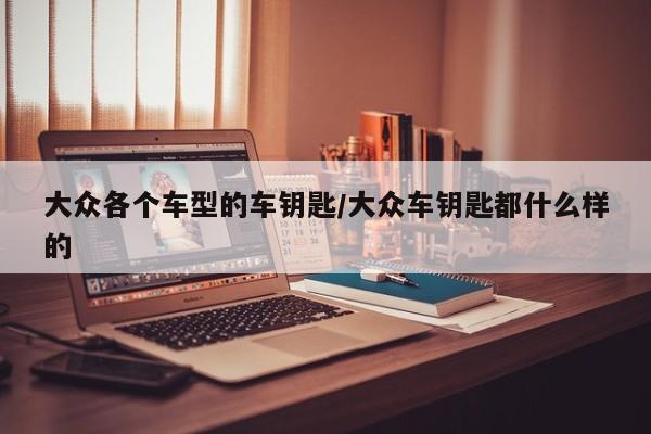 大众各个车型的车钥匙/大众车钥匙都什么样的