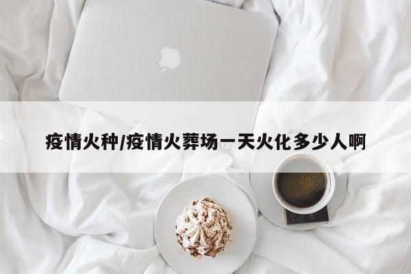 疫情火种/疫情火葬场一天火化多少人啊