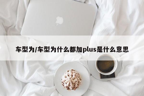 车型为/车型为什么都加plus是什么意思