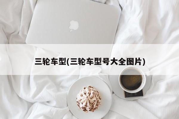 三轮车型(三轮车型号大全图片)