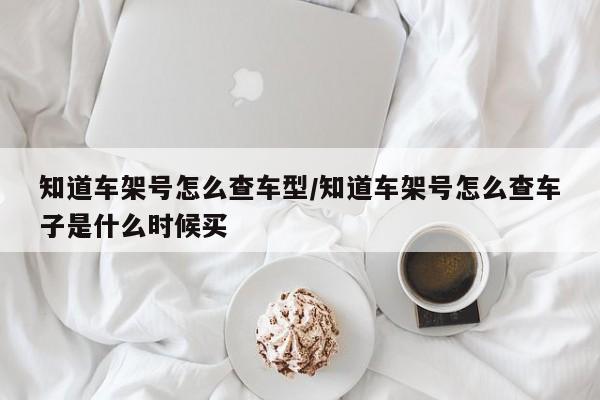知道车架号怎么查车型/知道车架号怎么查车子是什么时候买