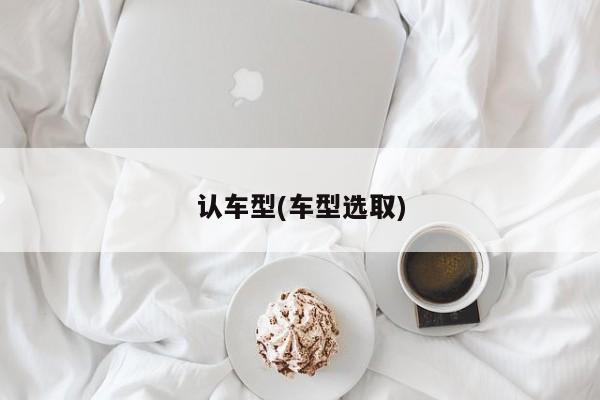 认车型(车型选取)