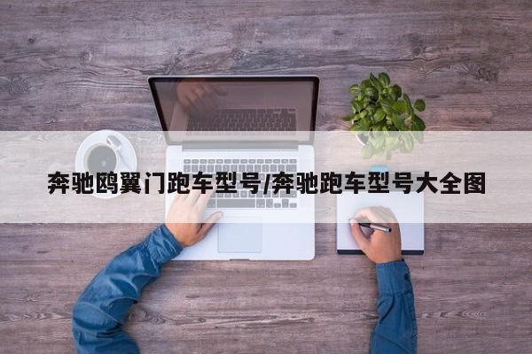 奔驰鸥翼门跑车型号/奔驰跑车型号大全图