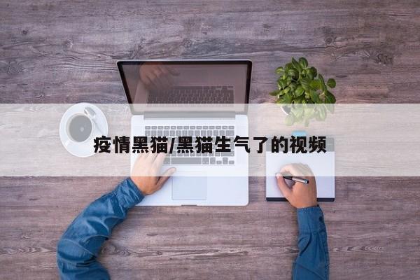 疫情黑猫/黑猫生气了的视频