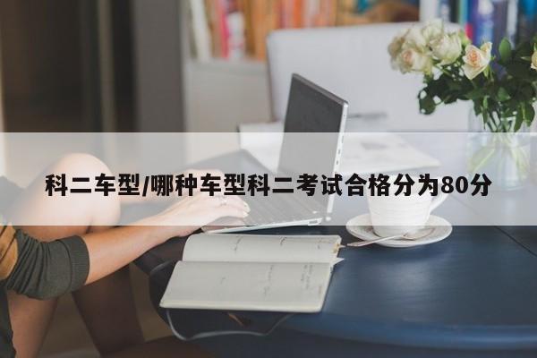 科二车型/哪种车型科二考试合格分为80分