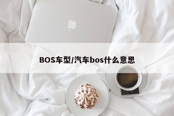 BOS车型/汽车bos什么意思
