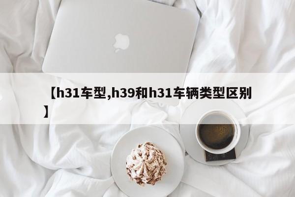 【h31车型,h39和h31车辆类型区别】